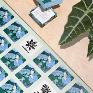 Learn Your Leaves Matching Cards